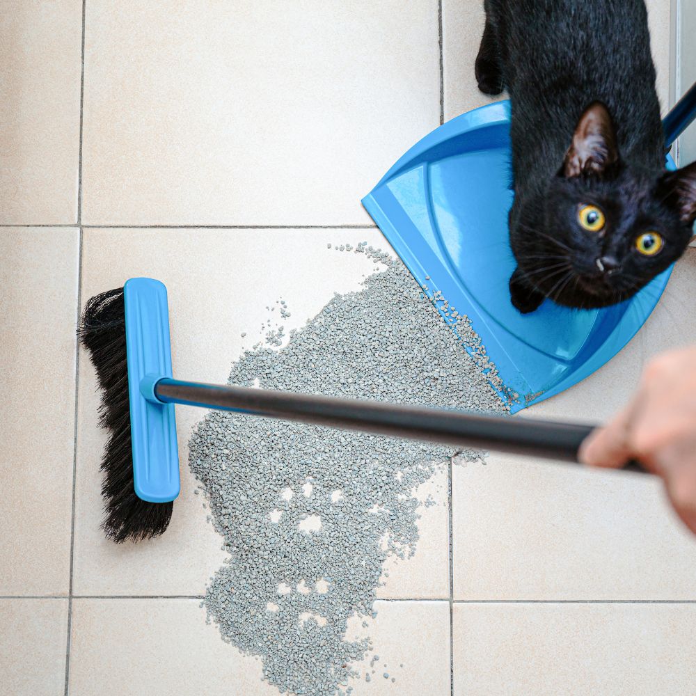 猫砂を取り除きやすいベージュの床タイル