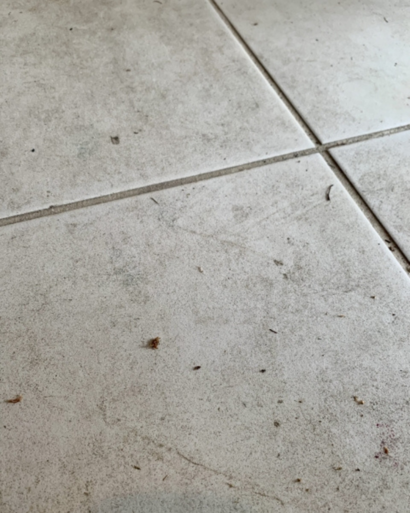 汚れが蓄積した玄関タイル