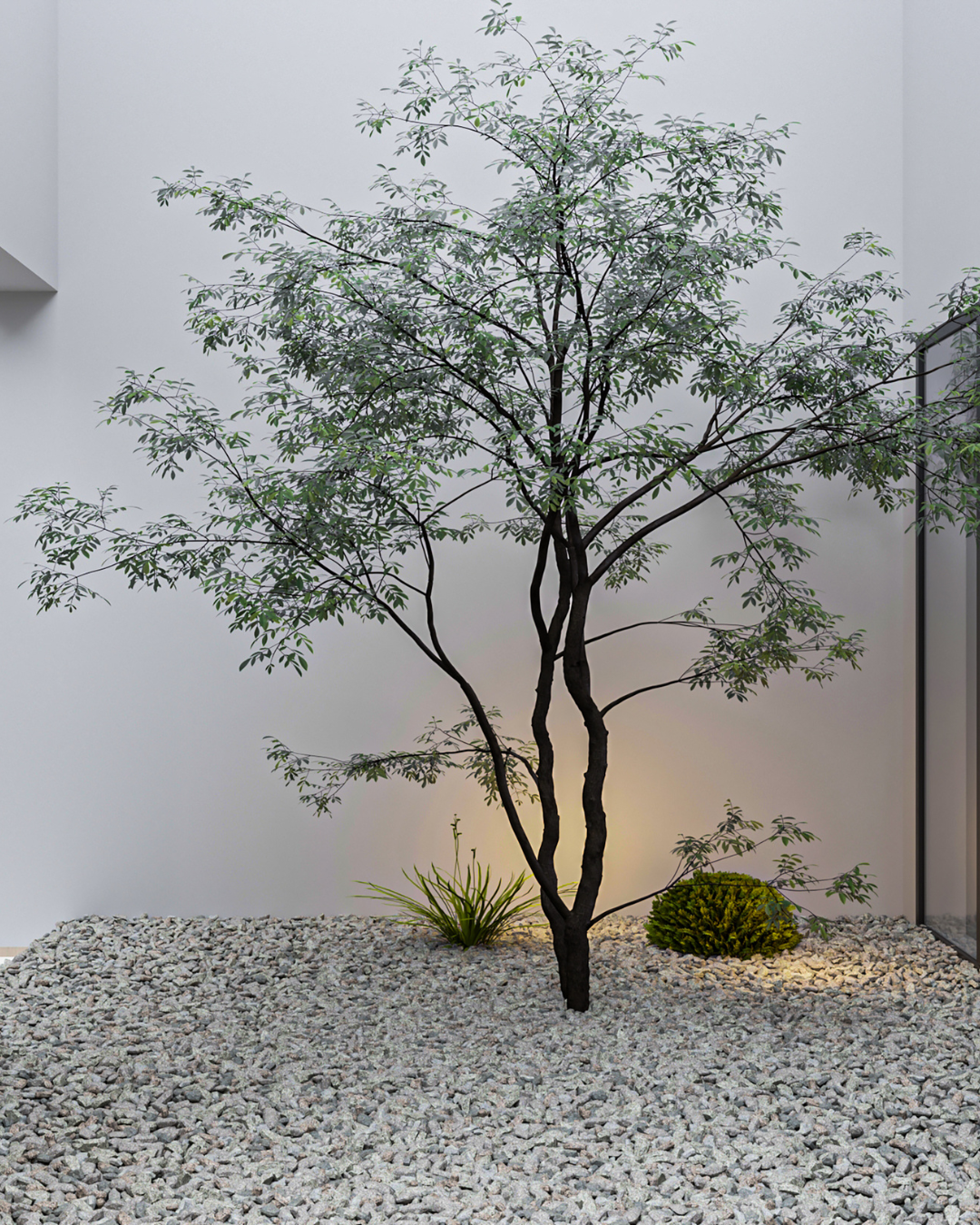 中庭に設置したメモリーツリーと砂利
