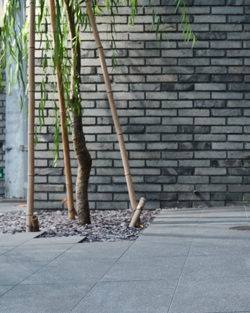 庭まで広げた駐車場用タイルグレー